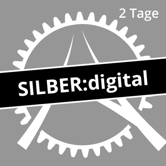 Vulcania300:digital SILBER